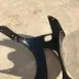 Tete de fourche carenage noir SUZUKI GSXR SRAD 1996-1999