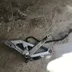 GSXR 750 w platine Frein Arrière complete 92 - 95