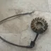 Stator - cb 600 hornet - 2003