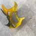 Tete de fourche carenage jaune SUZUKI 750 GSXR 2000- 01- 02-03