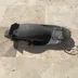 Gsxr srad passage roue carénage poly  suzuki