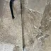125 tw yamaha pédale frein arriere