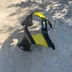 750 GSXR W Carenage tete de fourche suzuki 1992 -1995