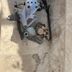 Honda 125 cbr frein Arriere