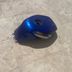 Réservoir de carburant essence SUZUKI GSX-R w  750 1992 - 1995