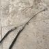 850 tdm cable accélérateur origine complet 4tx - 2001