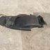 Gsxr srad passage roue carénage poly  suzuki