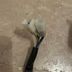 Honda 125 cbf compteur tableau de bord 2009